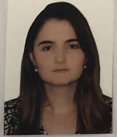 Perito Médico Médica Clínica e Nefrologista — Marcella Severiano de Freitas